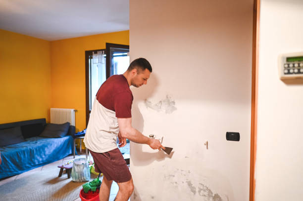 Best Affordable Mold Removal  in Kensington, NY